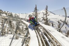 Coaster Winter