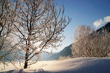 Haldensee Graen Haldensee