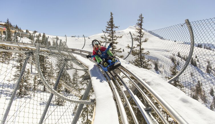 Coaster Winter